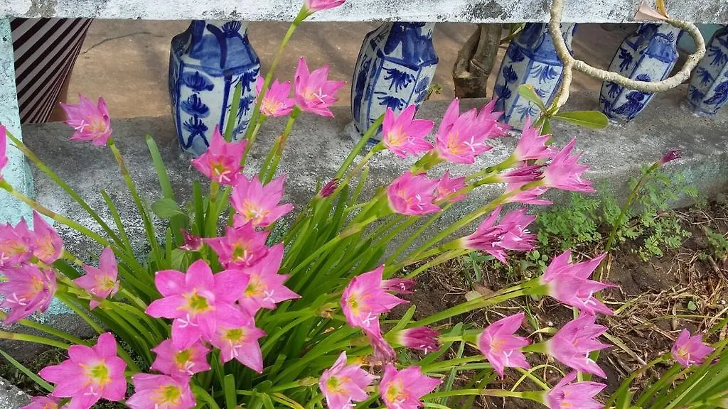 Center Homestay Hoi An 0*,  Vietnam